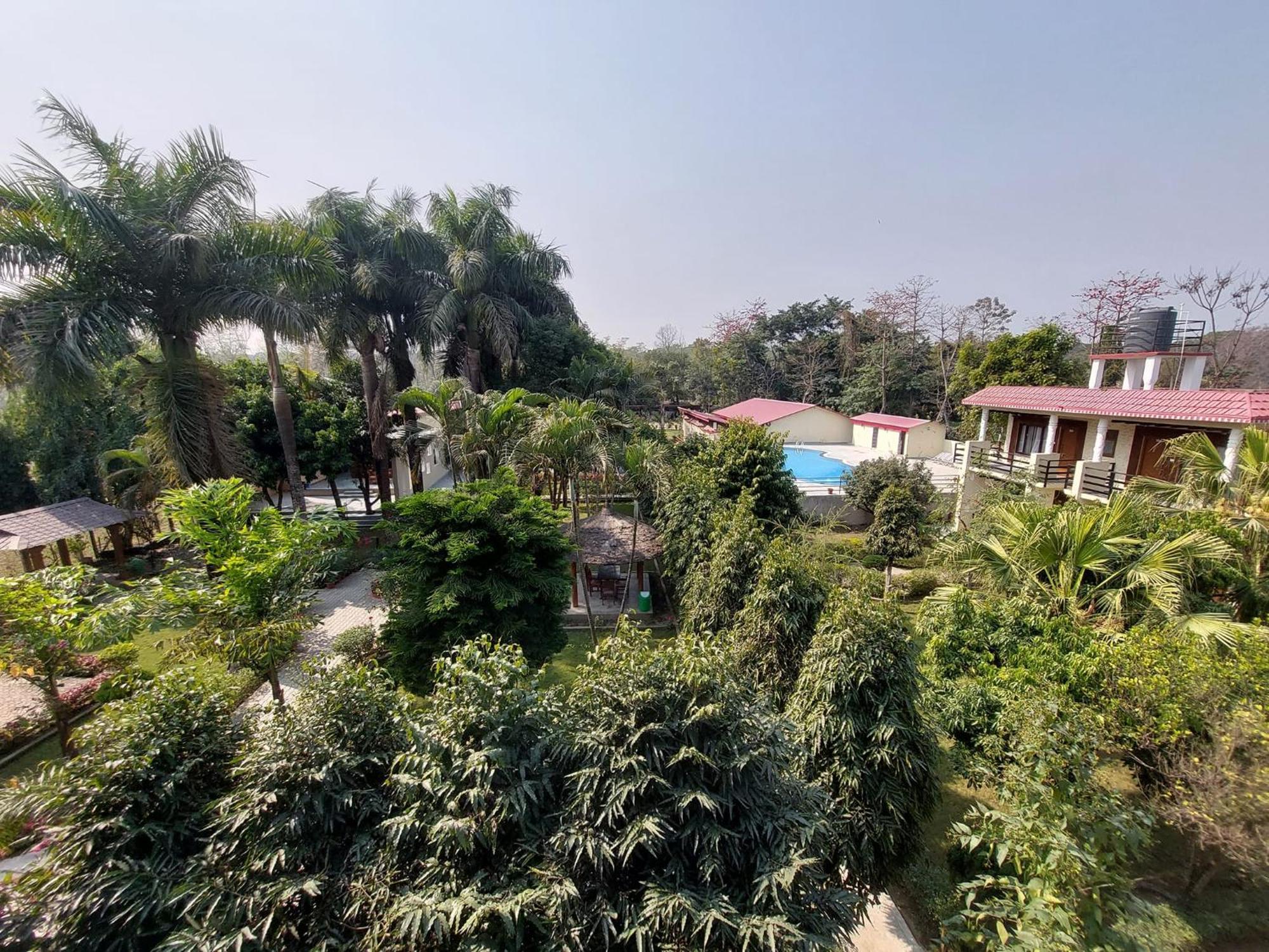 Royal Tiger Luxury Resort 4 Star Sauraha Exterior photo